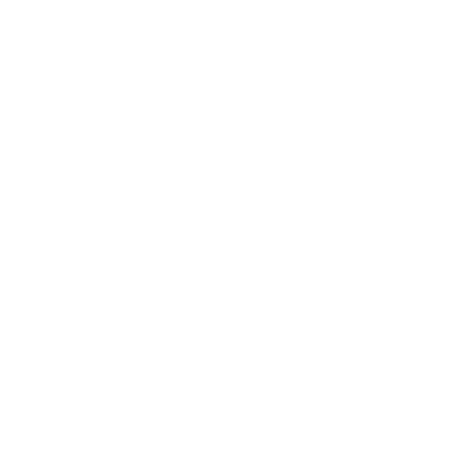 Flood 40